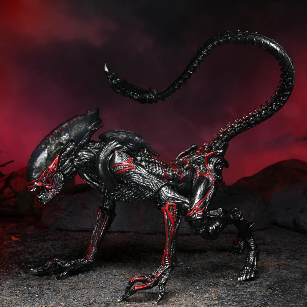 Black and red alien-like creature model against a dark background