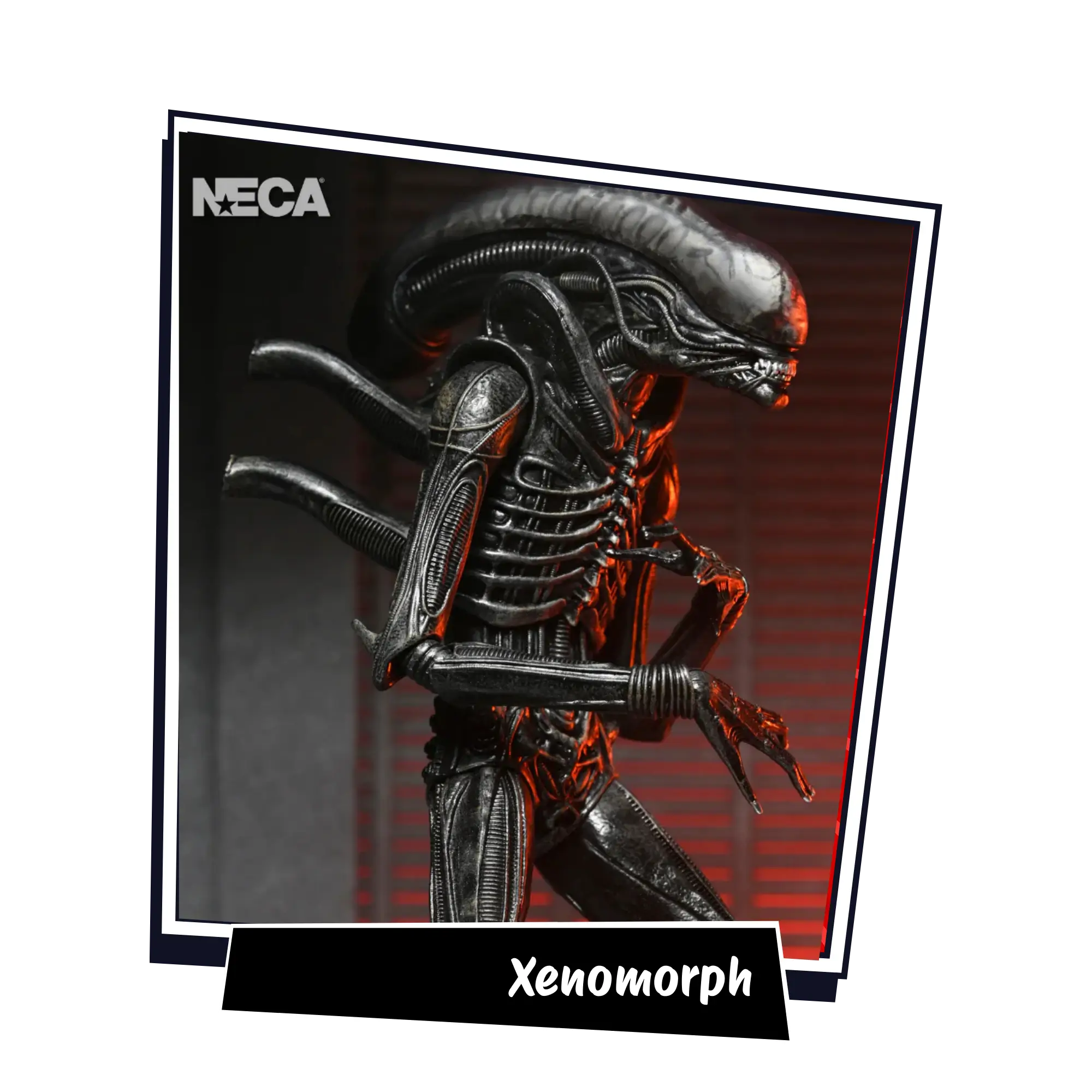 Xenomorph