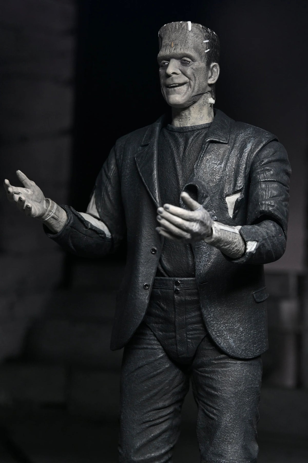 BRIDE OF FRANKENSTEIN THE MONSTER & HIS MATE NECA ACTION FIGURES - Action Figures - Horror