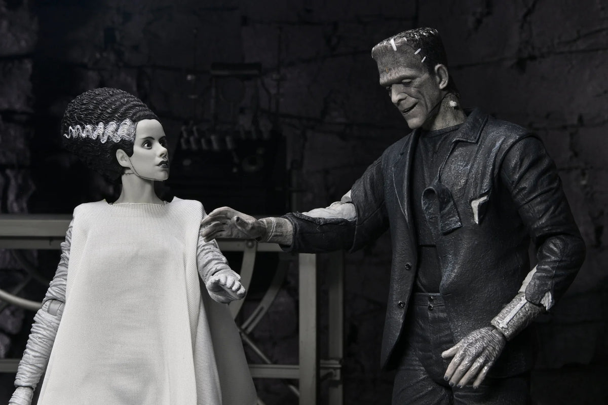 BRIDE OF FRANKENSTEIN THE MONSTER & HIS MATE NECA ACTION FIGURES - Action Figures - Horror