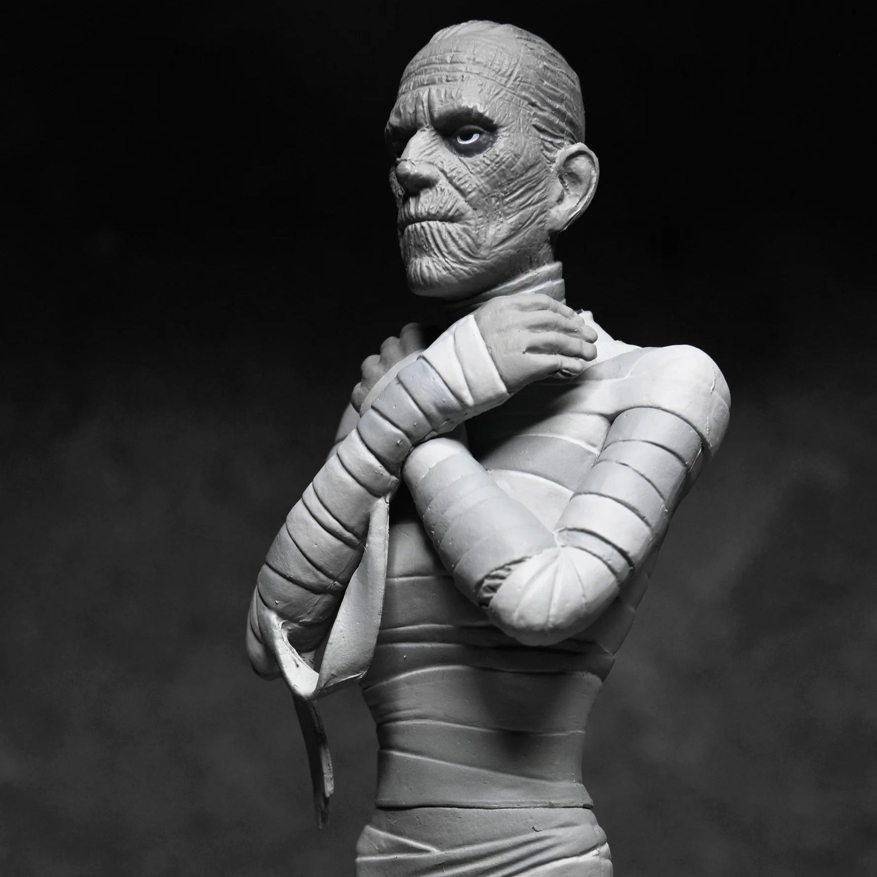 The Mummy Toony Terrors Action Figure | NECA Universal Monsters