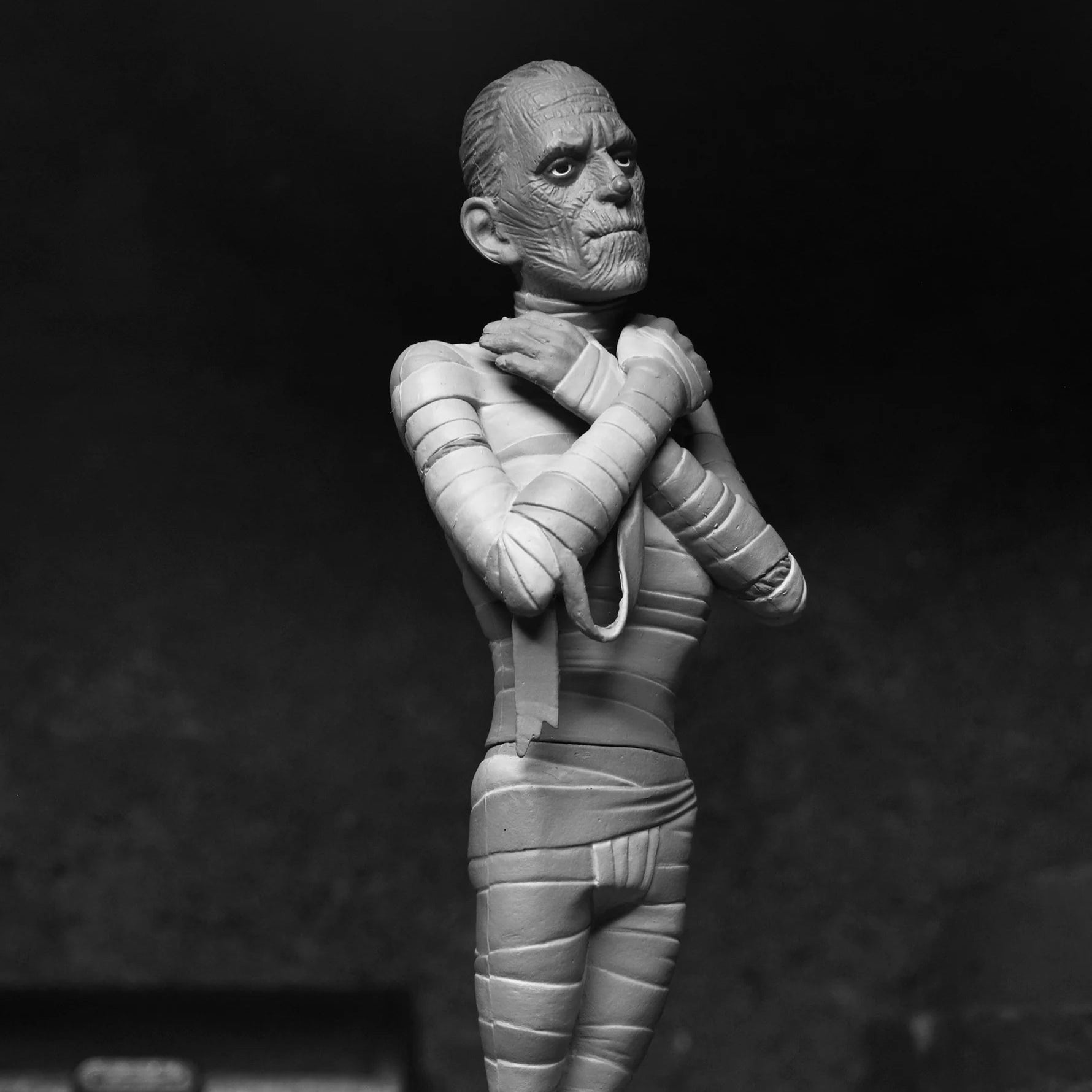 The Mummy Toony Terrors Action Figure | NECA Universal Monsters