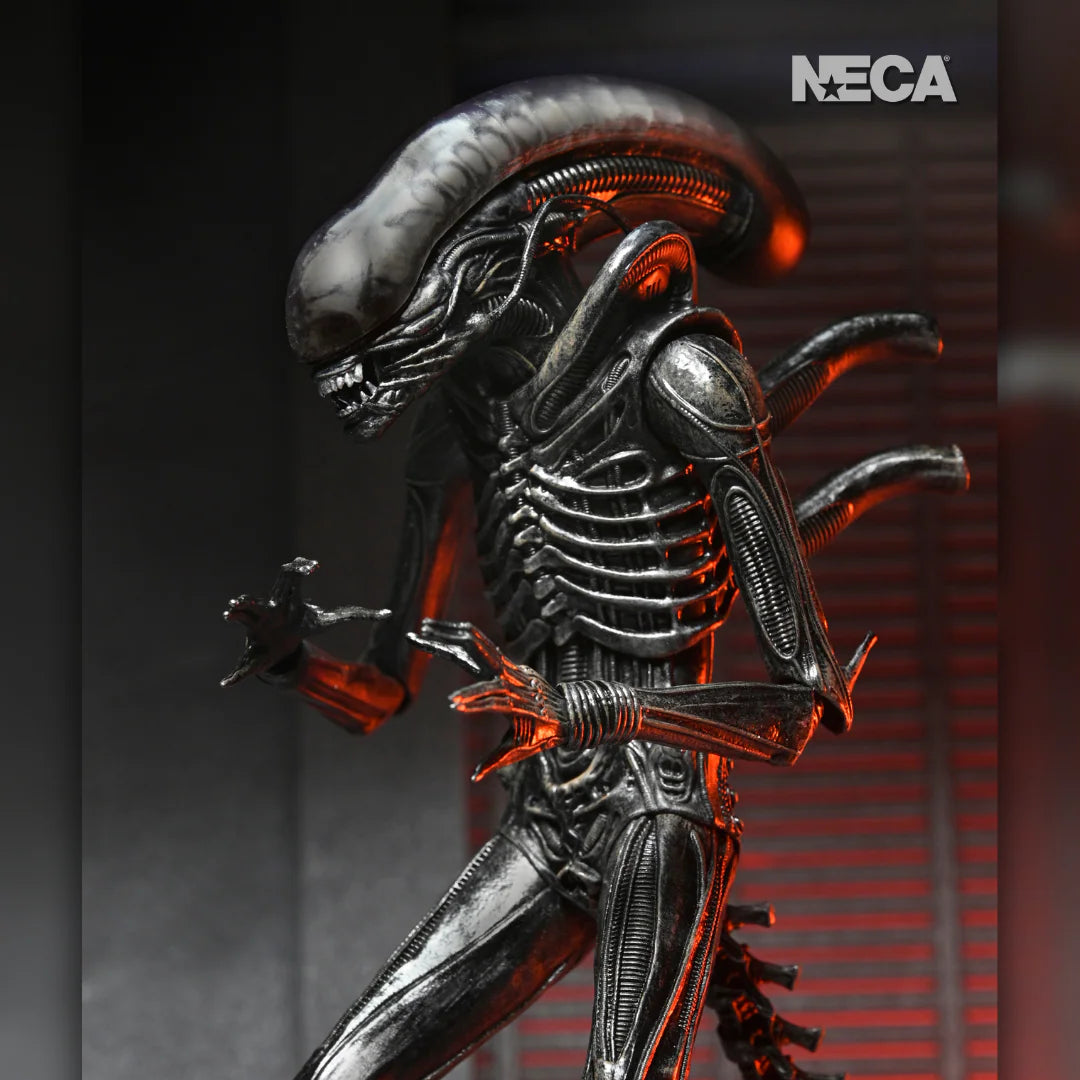 ALIEN ROMULUS: XENOMORPH XX121 from NECA