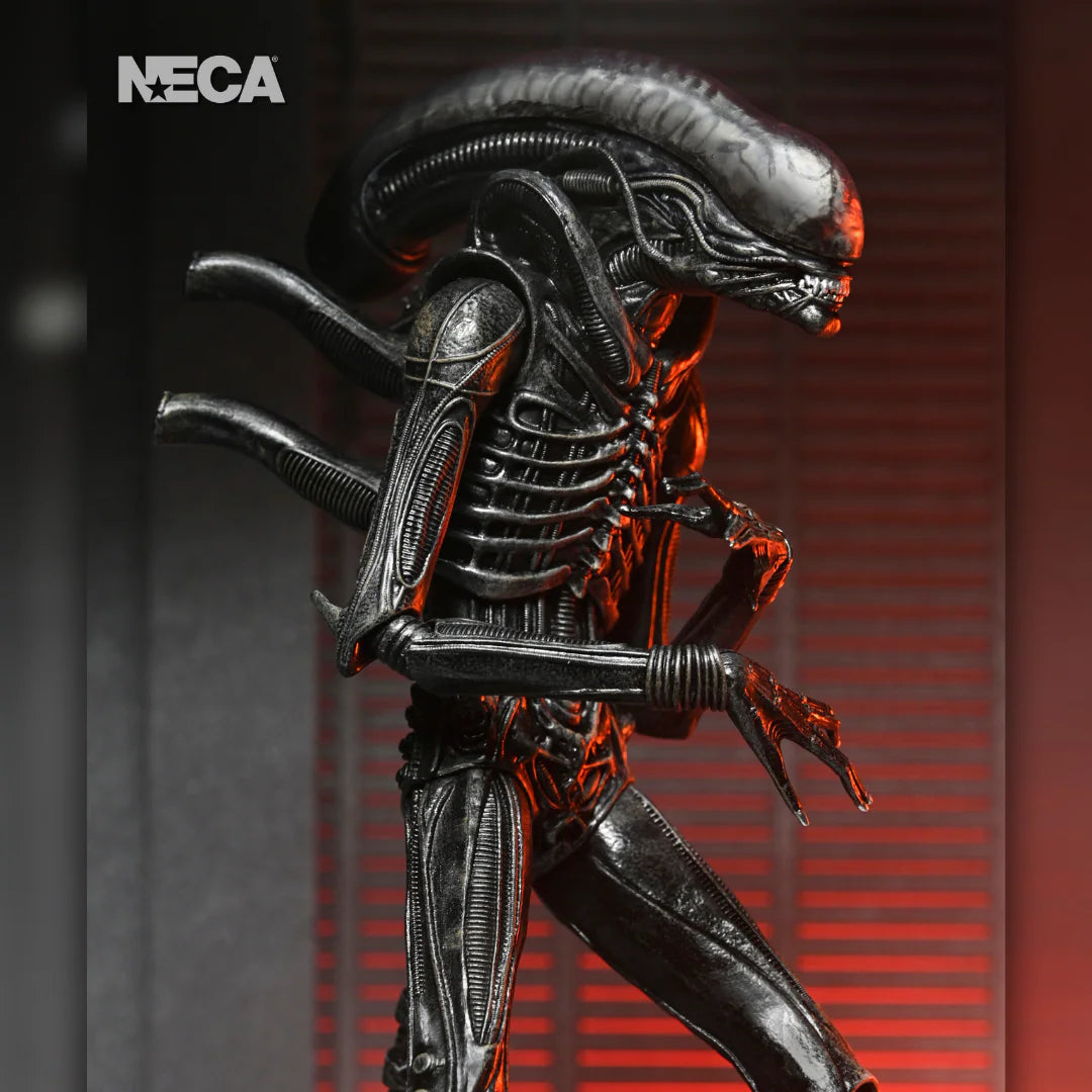ALIEN ROMULUS: XENOMORPH XX121 from NECA