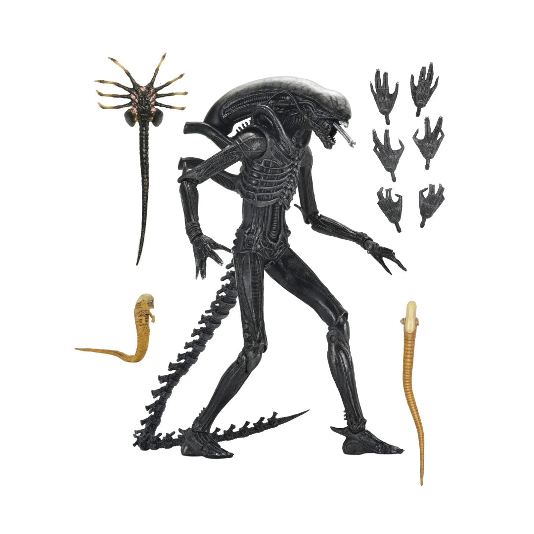 ALIEN ROMULUS: XENOMORPH XX121 from NECA