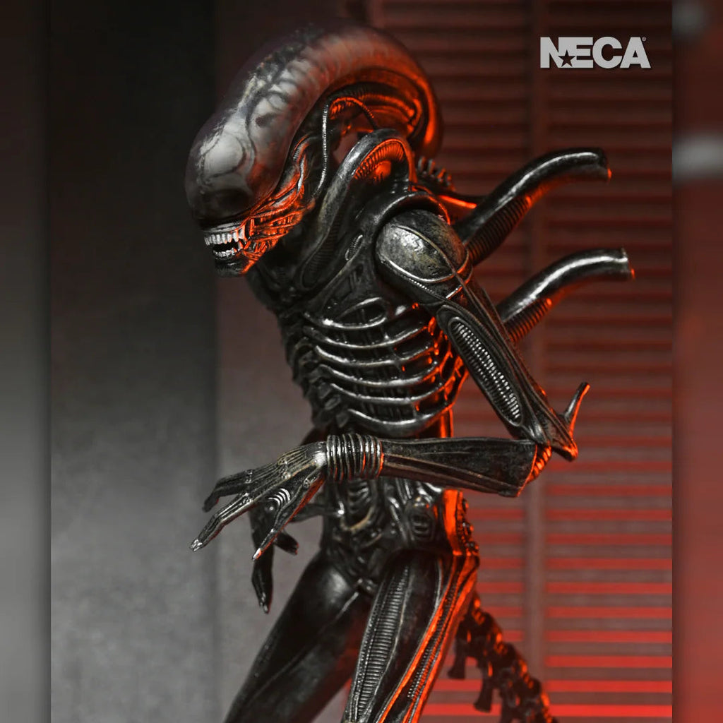 ALIEN ROMULUS: XENOMORPH XX121 from NECA