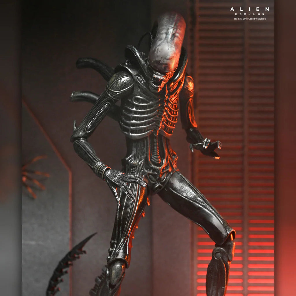 ALIEN ROMULUS: XENOMORPH XX121 from NECA – Mythical Mountain
