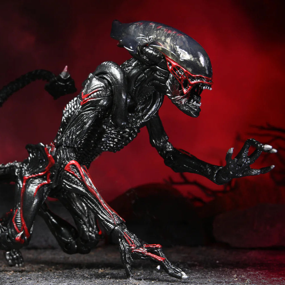 Alien action figure with red accents against a dark background
