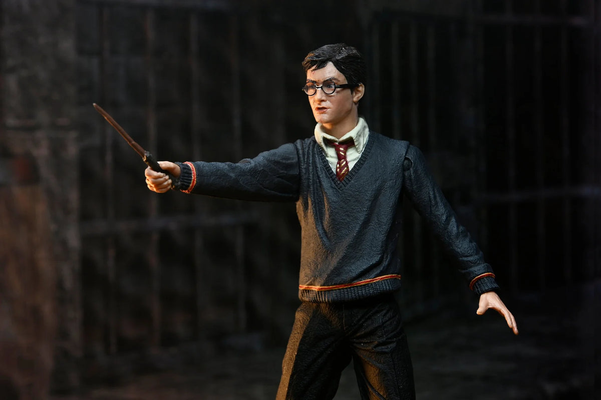 HARRY POTTER NECA LEGACY COLLECTION ACTION FIGURE - Action Figures - Movies - Harry Potter