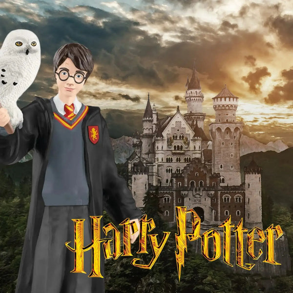 The Wizarding World of Harry Potter