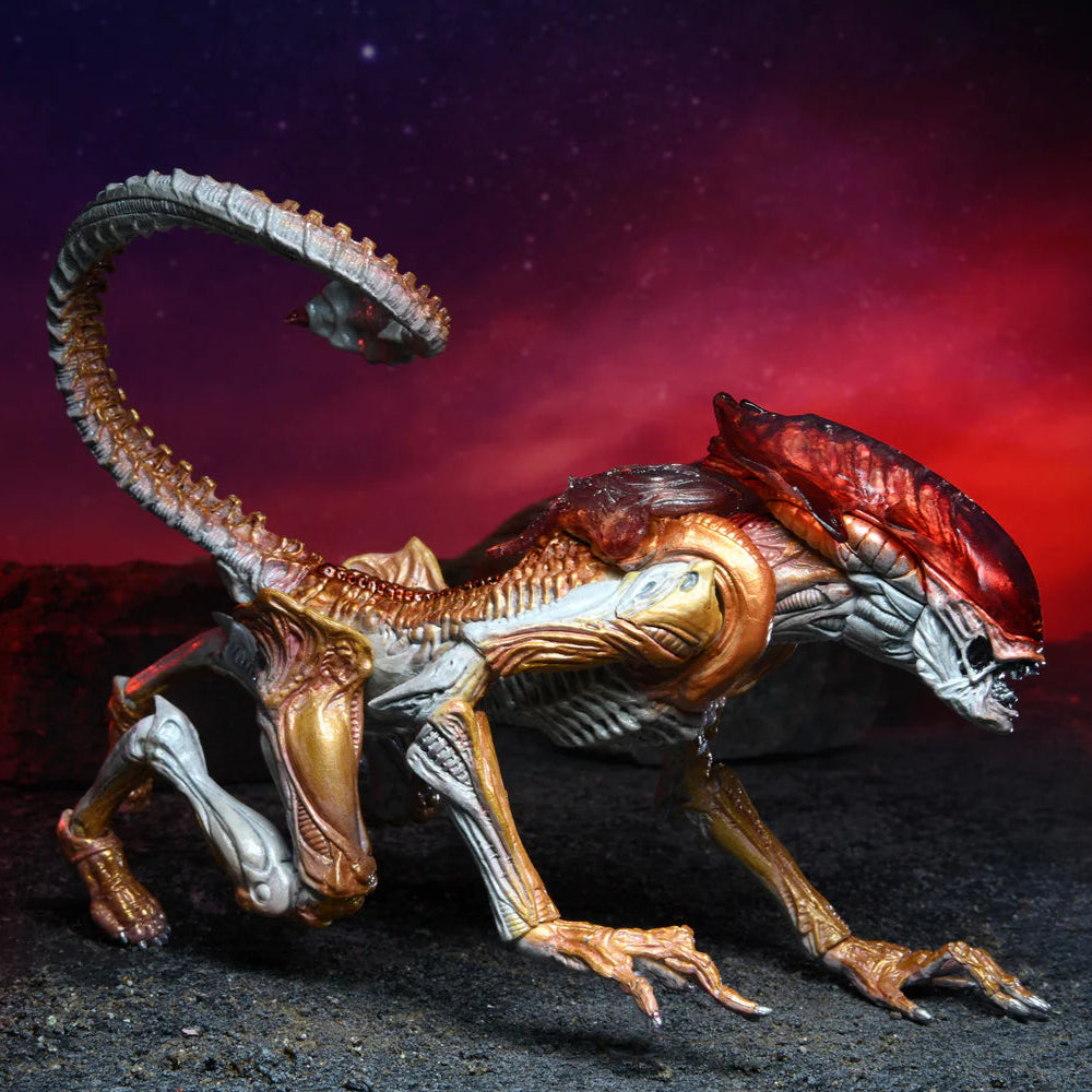 Alien-like creature model with a dark, starry background