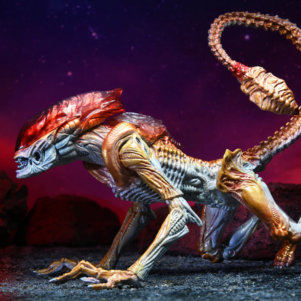 Dinosaur-like creature with red head and long tail against a dark, starry sky