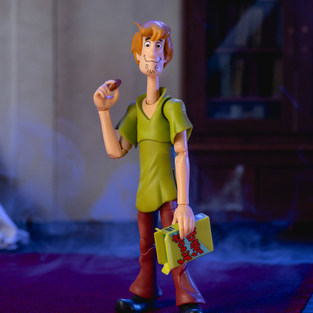 Shaggy Rogers – Scooby-Doo Figure by Jada Toys