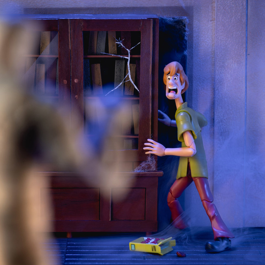 Shaggy Rogers – Scooby-Doo Figure by Jada Toys