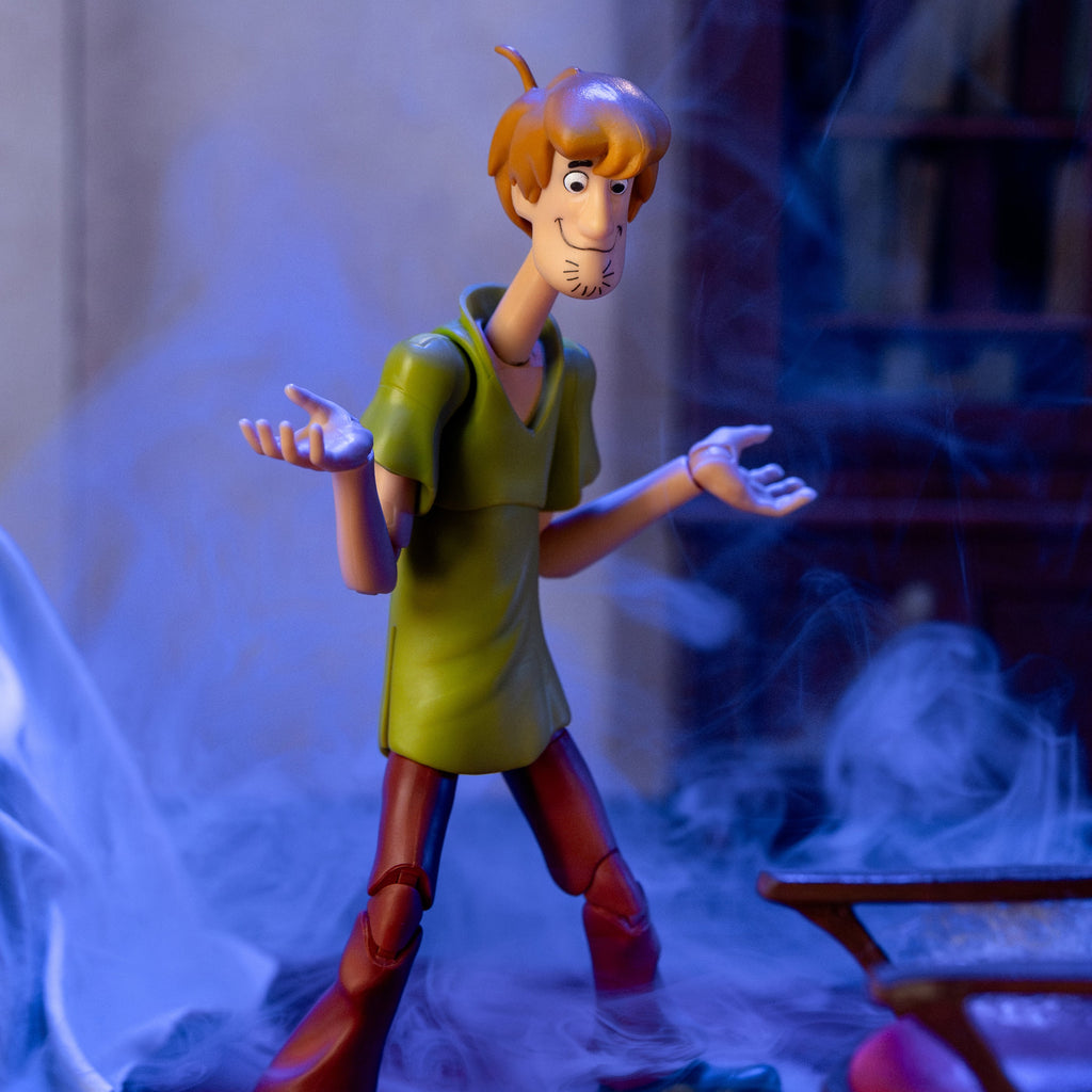 Shaggy Rogers – Scooby-Doo Figure by Jada Toys