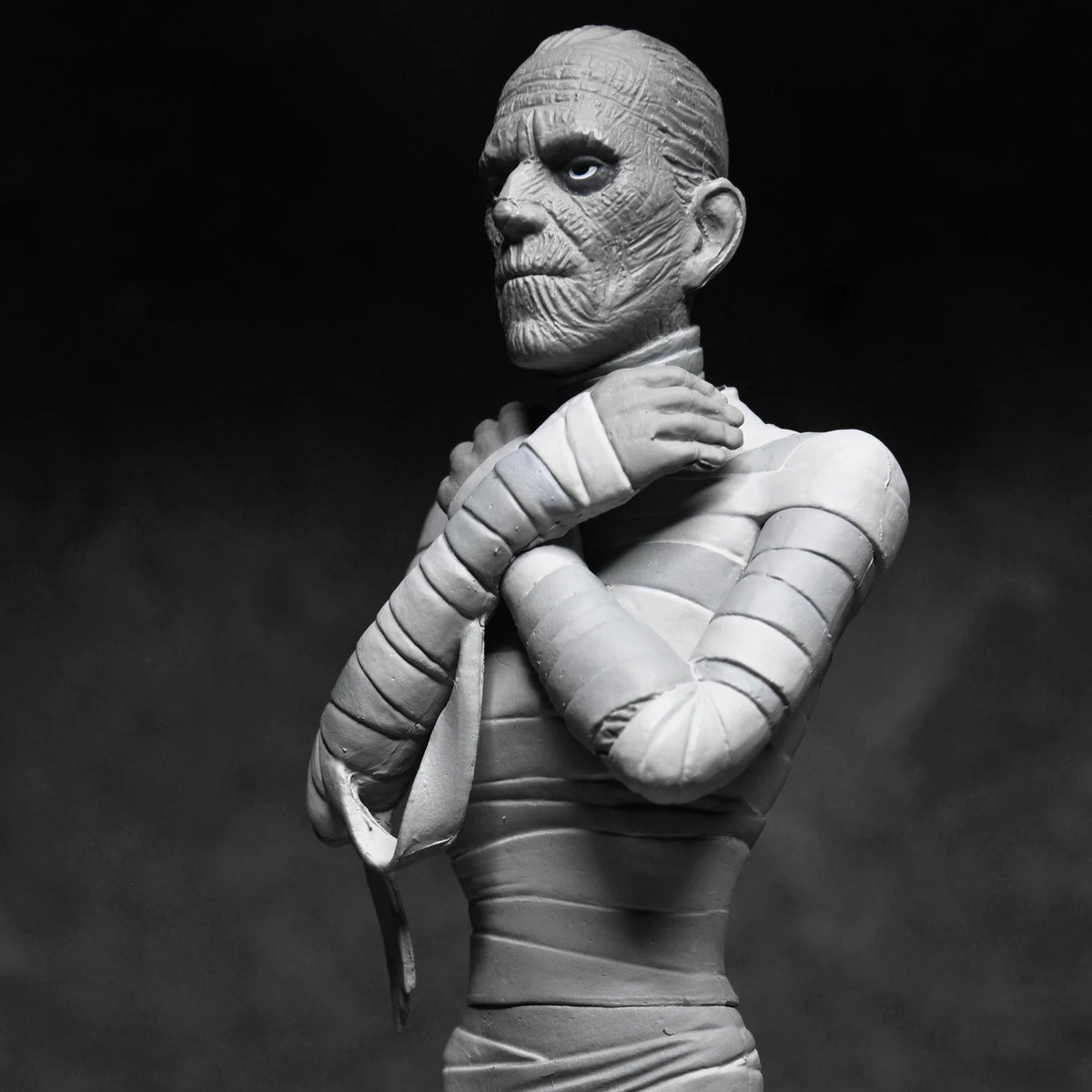 The Mummy Toony Terrors Action Figure | NECA Universal Monsters