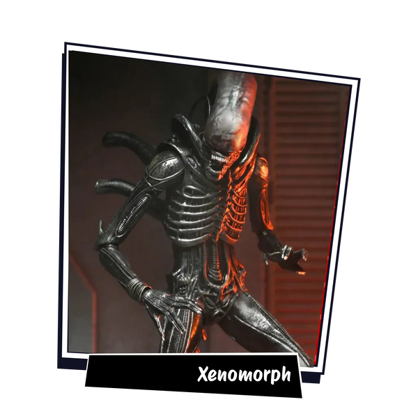 Xenomorph